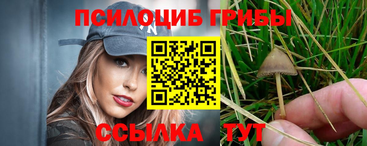 Псилоцибиновые грибы прущие грибы  Вход с VPN  Краснокамск 